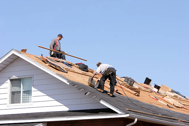 Best Roof Leak Repair  in Winchester, VA